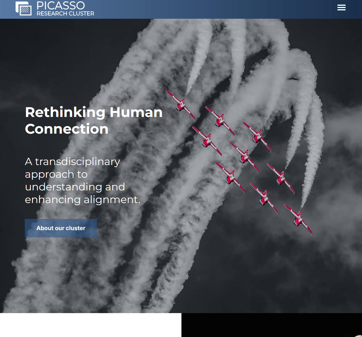 Screenshot of Picassocluster.ca